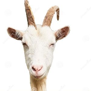 Meet your Posher, Femi